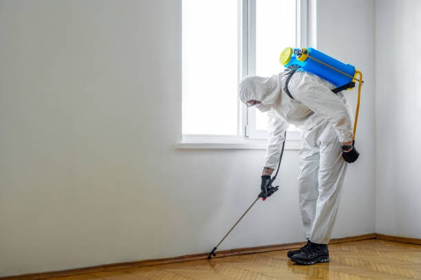 Best Mosquito Control Services  in Lighthouse Point, FL