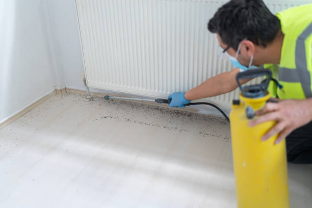 Best Pest Control Near Me  in Lighthouse Point, FL