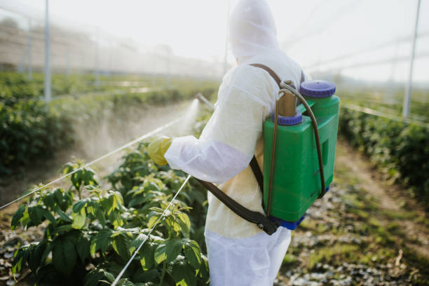  Lighthouse Point, FL Pest Control Pros